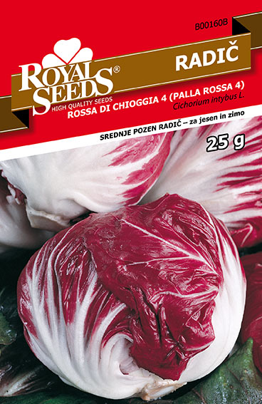 Radič Tržaški solatnik | semina